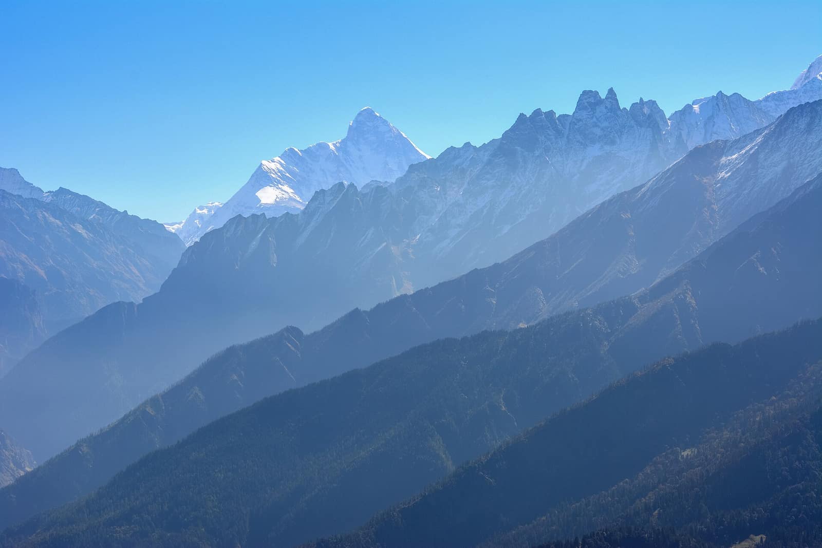 Things to Do in Rishikesh — photo 4
