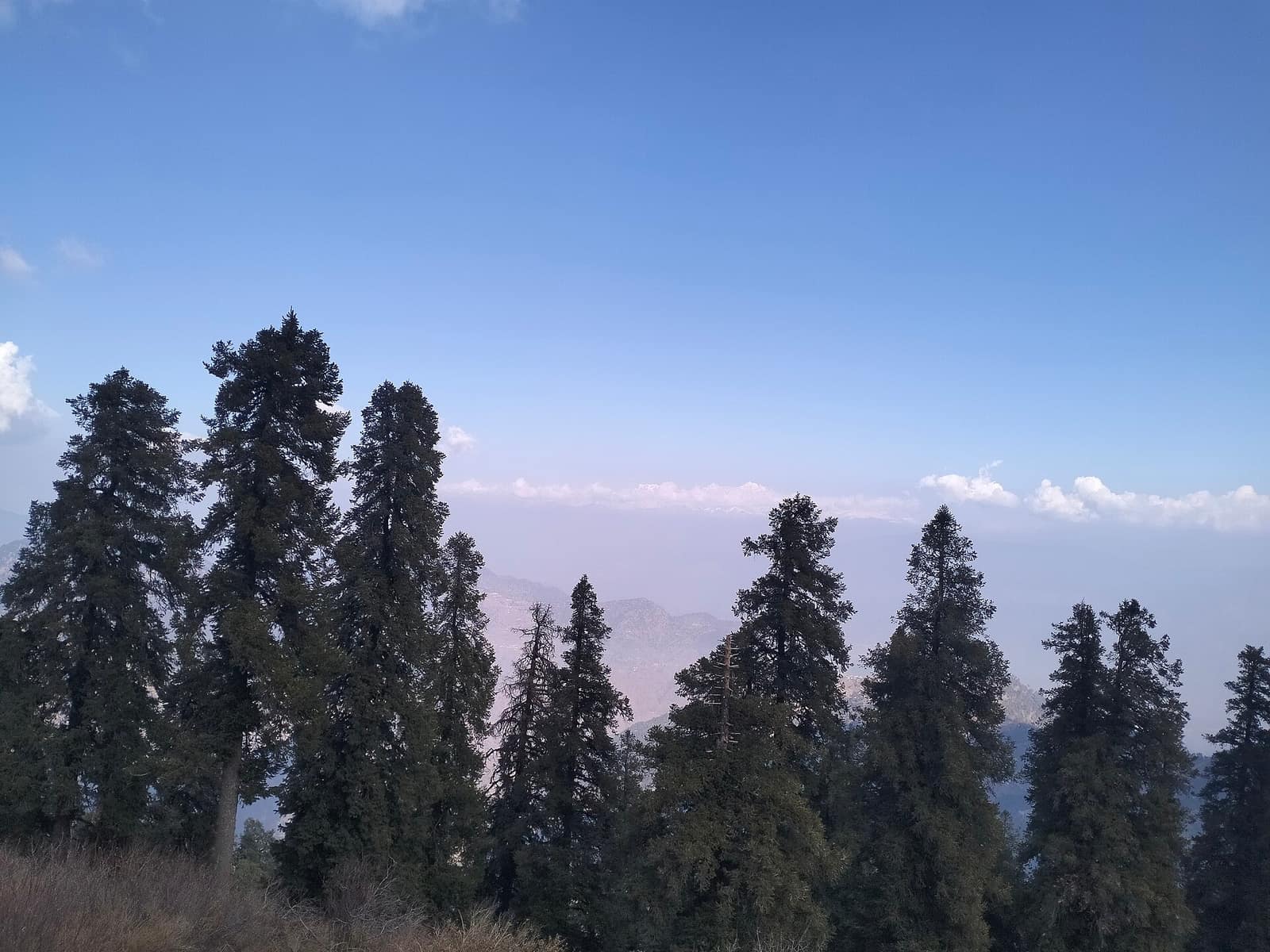 Mussoorie Tour from Rishikesh